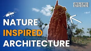 How Does Nature Inspire Architecture [upl. by Natica]