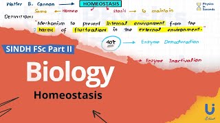 Biology  Homeostasis  Sindh Board  Lecture  5 [upl. by Robinson]