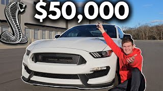 Why the Shelby GT350 is a MUST BUY [upl. by Marteena]