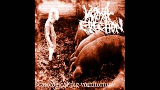 Vomit Erection  Rotten Rebirth Of Cannibal Gluttony [upl. by Arrek101]