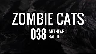 Zombie Cats  MethLab Radio Mix 038 Neurofunk Mix 2015 [upl. by Dzoba]