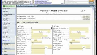 Resizing the ProSeries Forms Bar [upl. by Batish]