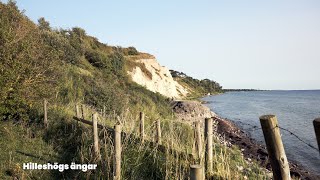 Skånes Natur En Filmisk Hyllning till Sydsveriges Vilda Skönhet [upl. by Sueahccaz]