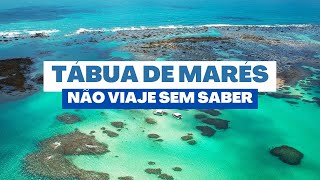 PRAIAS DO NORDESTE  Não Viaje sem Assistir [upl. by Ri648]