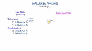 Influenza Vaccines [upl. by Allcot]