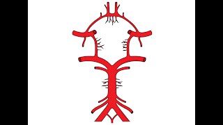 USMLE Step 2 CK Plus  Chapter 2 Neurology  Lacunar Stroke Syndromes [upl. by Hanley]