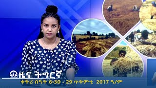 ዜና ትግርኛ  ቀትሪ ሰዓት 6፡30  29 ጥቅምቲ 2017 ዓም  TigraiTelevision  ቴሌቪዥንትግራይ [upl. by Iborian]