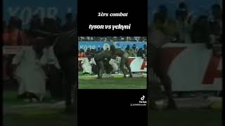 tyson vs yekini [upl. by Akenit]