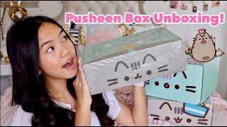 Pusheen Unboxing Video [upl. by Ettennad]