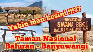 Taman nasional Baluran [upl. by Annoyek917]