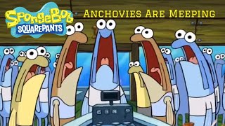 SpongeBob SquarePants  Anchovies Are Meeping [upl. by Lavinia]