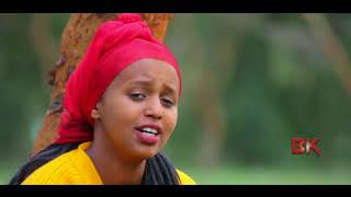 Waadaa Diroo quotNagaalessaNamaaquot OromoOromiyaa Music 2017 [upl. by Neufer]