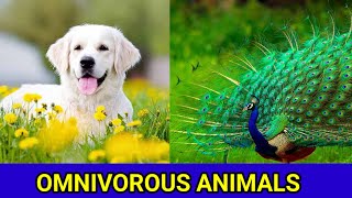 “MEET THE OMNIVORES ANIMALS THAT EAT EVERYTHING ” OMNIVOROUS ANIMALS NAME FOR KIDS [upl. by Samara586]