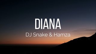 DJ Snake amp Hamza  Diana Lyrics [upl. by Arimak]