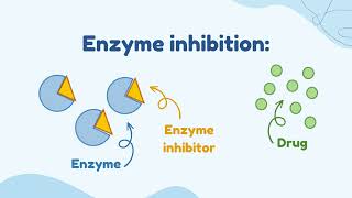 Enzyme Induction VS Enzyme Inhibition [upl. by Weiss383]