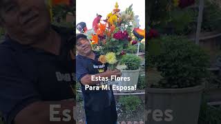 Estas Flores Del Jardin Son Para Mi Esposa💐🌿 jardines flores amor [upl. by Dlonra]