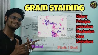 Gram Staining  Microbiology  Principle  Procedure  Tamil  Uses  Limitation ThiNK Biology TNK [upl. by Stesha946]