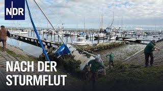 SchleswigHolstein Nach der JahrhundertSturmflut  Die Nordreportage  NDR Doku [upl. by Fruma144]