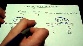 Utility Maximization Rule amp How to use it AP Microeconomics Study Guide Practice Test [upl. by Linette]