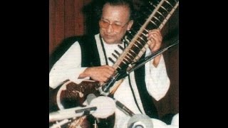 Raag Hameer Pandit Nikhil Banerjee on sitar [upl. by Esaertal]