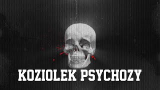 Koziołek  Psychozy [upl. by Aleit35]