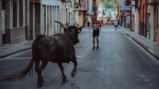 Toros ultima tarde Barrio San Joaquin  Toro de calle  Onda [upl. by Akinahs]