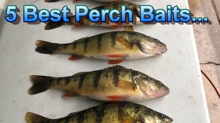 Perch Fishing Tips  The Only 5 Perch Baits That Matter [upl. by Ottilie]