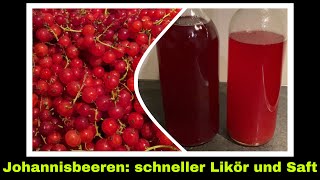 Johannisbeersaft und Johannisbeerlikör Rezept ohne Entsafter selber machen  Selbstversorgung [upl. by Eelah]