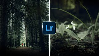 MOODY GREEN Forest photos How to edit in LIGHTROOM [upl. by Geis664]