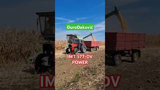 IMT 577DV I ĐuroĐaković u akciji balkan foryou durodakovic imt577dv farming imt [upl. by Costin]