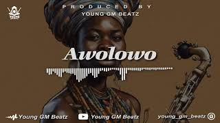 Amapiano Beat Instrumental 2024  quot AWOLOWO quot [upl. by Anyat]