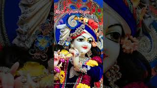 Masti m shri Radhe Radhelove radharanisongshyam radharaninewsong trandingshorts trending live [upl. by Rehtul]