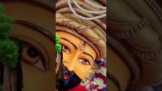 Mera ji Karta hai saware aapke godi mein so jaaun bhajan 👆🙏💐🌹devotinalsong [upl. by Nisior]