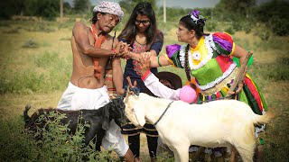 बकरा बकरी का दिवाना  गोटिया पोटिया कॉमेडी 2024  Bakra Bakri Ka Deewana  Gotiya Potiya Comedy 2024 [upl. by Adnamra]