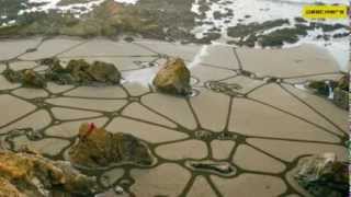 Sand Art  Landscape Sand by the Sea Art by Andreas Amador [upl. by Doner]