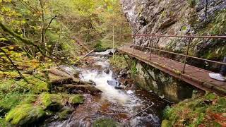 Höllental Ravennaschlucht im Schwarzwald Viele Treppe unterhalb Großjockenmühle [upl. by Aihtibat]