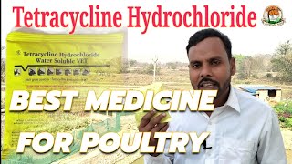 Tetracycline Hydrochloride best for poultry [upl. by Harat]