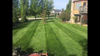 FULL Mowing Service  Walk Behind wa Proslide XT  Stihl Trimmer and Blower [upl. by Edik]