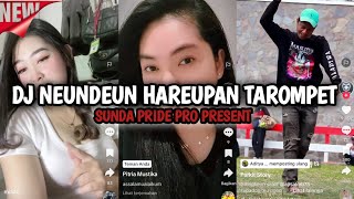 DJ NEUNDEUN HAREPAN TAROMPET SUNDA PRIDE PRO PRESENT [upl. by Surovy148]