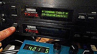 Yamaha TX81Z FM Synth Sounds Demo 2 [upl. by Oringas52]