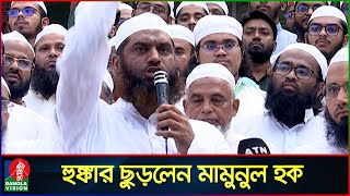 অন্তর্বর্তী সরকারের উদ্দেশে যা বললেন মাওলানা মামুনুল হক  Mamunul Haque  Banglavision News [upl. by Demetra295]