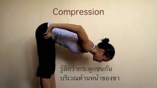 Tension vs Compression Forward Bends [upl. by Amandi]