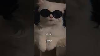 ⭐️ I’m star اشتراكبالقناة [upl. by Anaiad]