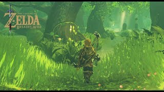 🔴Link Sem Escudo   ZELDA BOTW Parte 19  Nintendo Switch Playthrough [upl. by Lissak]