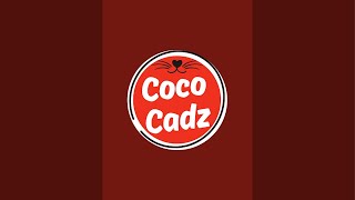 Coco Cadz is live [upl. by Damara889]