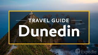 Dunedin Vacation Travel Guide  Expedia [upl. by Etnohs]