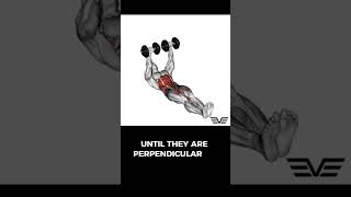 Dumbbell Flor Wipers dumbbellfloorwipers floorwipers abs absexercise absworkout [upl. by Ayle]