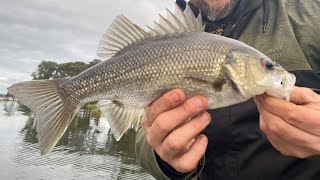 Crazy Bait Fishing At The Rock [upl. by Onra]