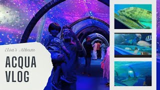 Marine Aquarium marineaquariumfish youtubevideo viralvideo mustvisitplaces keralatouristplaces [upl. by Lepp]