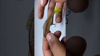 DIY SOFT BAIT shortvideo fishingtutorial fishingtips softbait [upl. by Cleodell765]